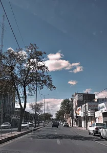 بیسیم