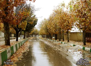 ترمینال مسافربری ایلام/ملکشاهی