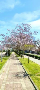 پارک شهید سیامک اختر کاویان 2