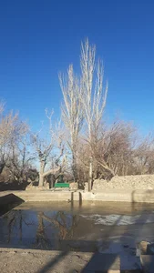 مسجد پندستان