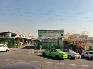 بازار میوه و تره بار علامه