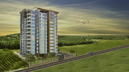 Beytepe Park Orman