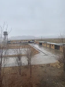 کلینیک دامپزشکی دانشگاه آزاد شهرکیان