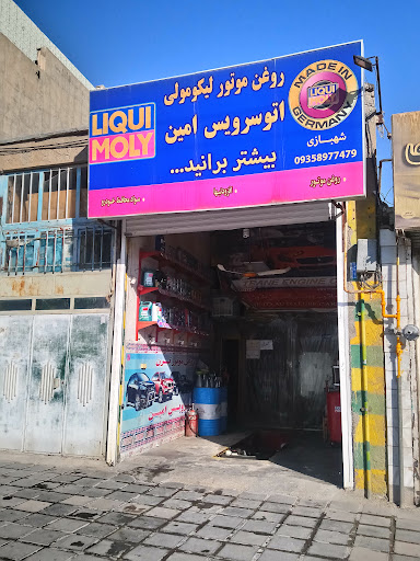 اتو سرویس امین