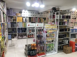 آرایشی بهداشتی ریگی