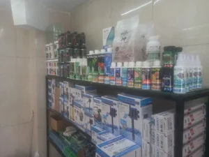 آکواریوم آدین