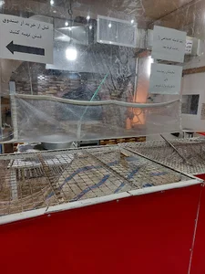 مجتمع نان پردیس زرهی