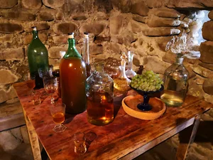 Gviniasahvili's yard