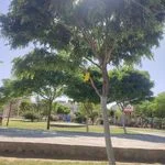 باشگاه ورزشی کارن