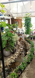 فروشگاه گل و گیاه گلستان یاس