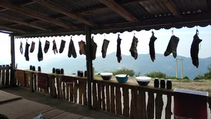 Restaurant Hali No