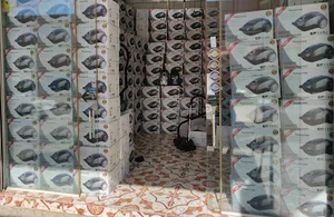بازرگانی محمودی(لوازم خانگی)
