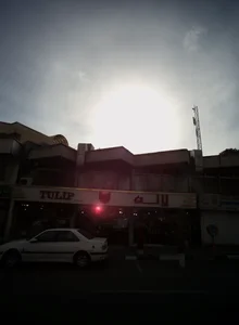 گل فروشی لاله 2