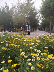 بوستان صبا 5