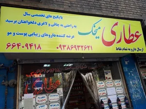 داروگیاهی میخک رضایی 2