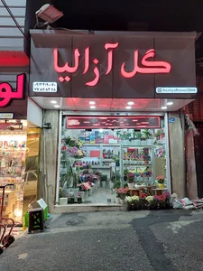 گل فروشی آزالیا