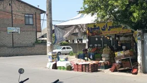 ارزانسرای میوه 2