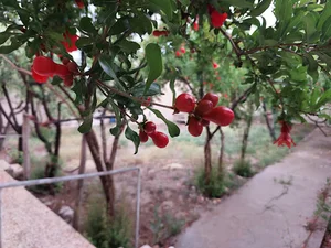 خشکرود