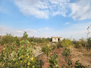 باغچه پارسا اکبری