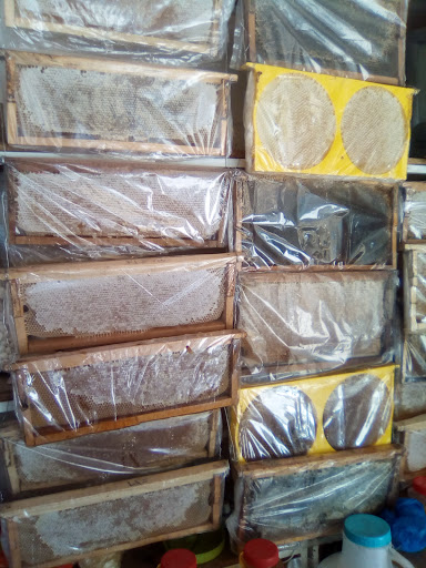 لبنیاتی و عسل درویشی