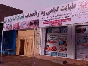 طبابت گیاهی و دارالحجامه نظام الدین ولی