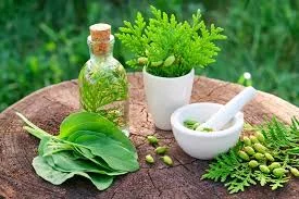 داروگیاهی