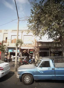 یگانه روکش زین 2