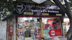 پروتئین مهرداد