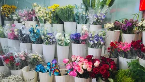 گلسرای لیا 5