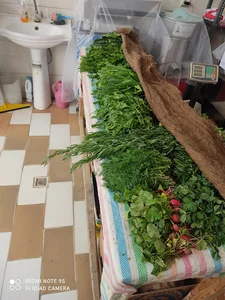 سبزی فروشی