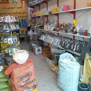 غرفه ۲۵ بازار گل بابایی خاک وسم گیاهان 3