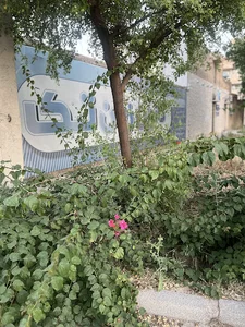 زبانکده تک