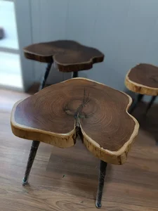 فروشگاه دارکوب