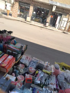 پلاسکو مشایخی