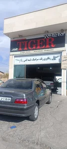 Tiger_tuning