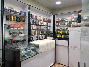 موبایل رویال پاسبان