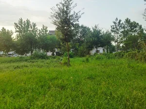 مجتمع مسکونی گلدیس