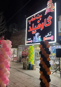 پتشاپ گارفیلد