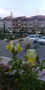 برج کاسپین