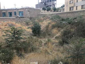 زمین مهربان