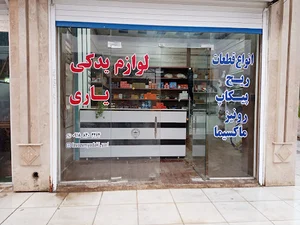 لوازم یدکی یاری