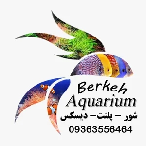 آکواریوم برکه