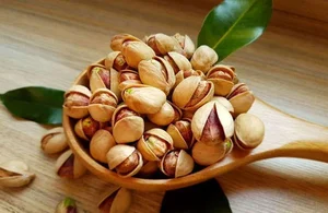 شهر پسته 2