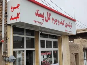 کیف و کفش چرم گل پسند 2