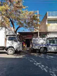 پلاسکو طاها