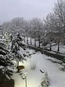 دانشگاه ارومیه