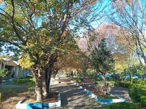 دانشکده پزشکی