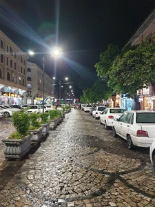 پیاده راه آیت الله سعیدی