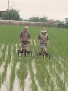 مزرعه نعمتی 3