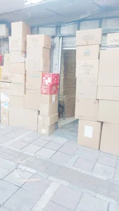 شهر کارتن محمد ملکی